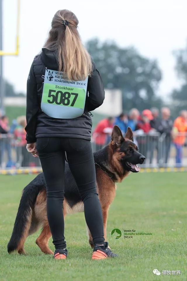 密尔沃对阵巴恩雷,赛场气氛火爆!的简单介绍 密尔沃对阵巴恩雷,赛场气氛火爆!的简单介绍